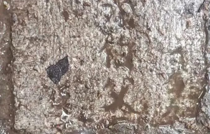 王局拍案
