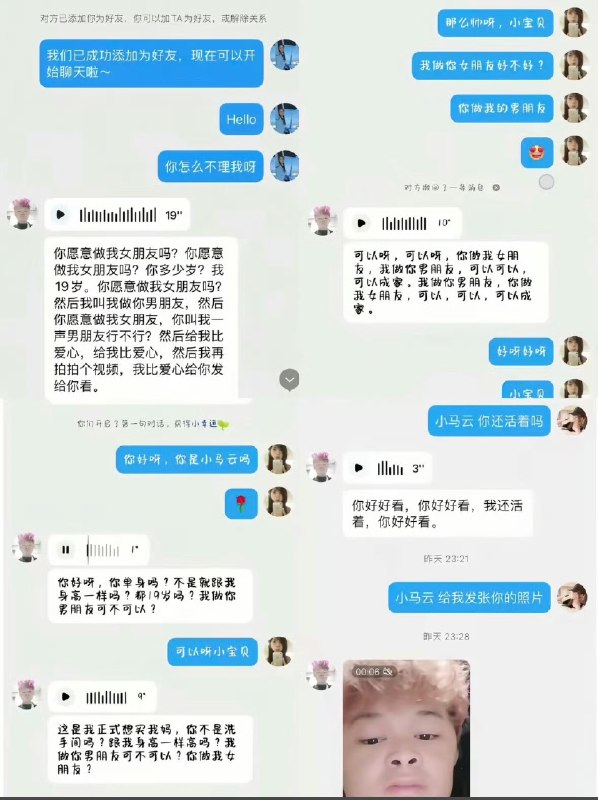 小牛