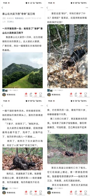 王局拍案
