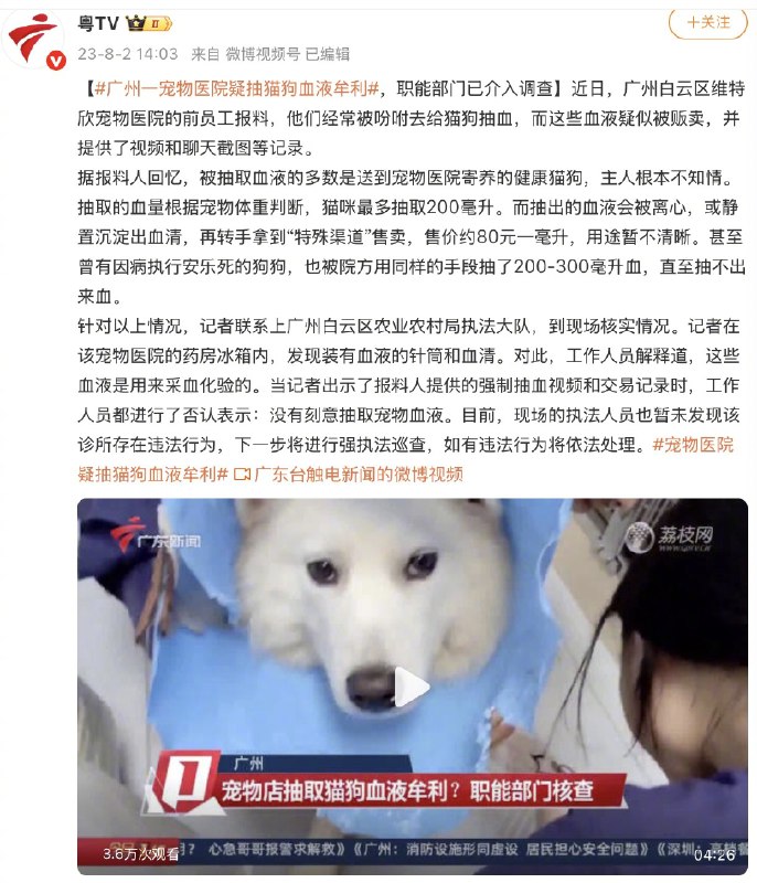 【“血猫”事件有判例证据