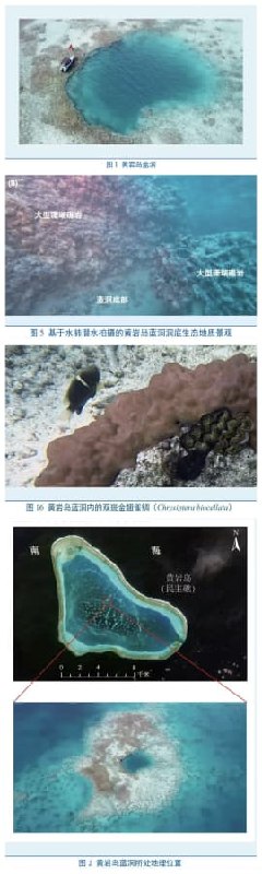 王局拍案