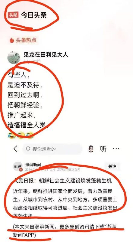 新闻焦点追踪（主编