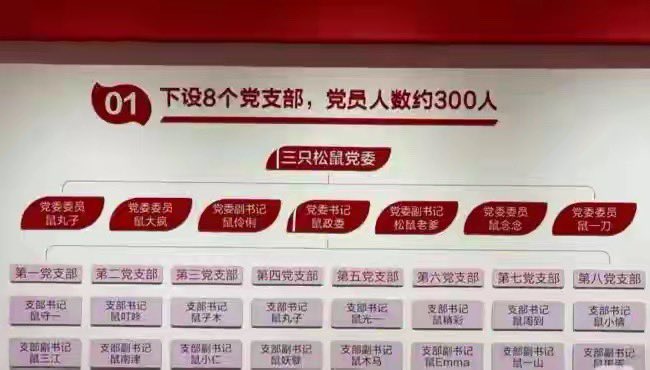 記者小舞