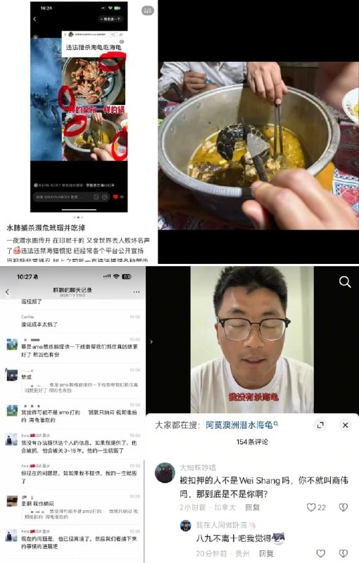 1.9月12日左右，网传中国籍自由潜水教练魏尚（Wei Shang）在印尼四王群岛皮亚内莫海域海洋保育区，用鱼枪射杀极危物种玳瑁并烹食，视频引发全网愤怒