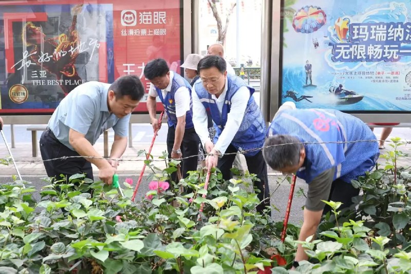 大厂白洁