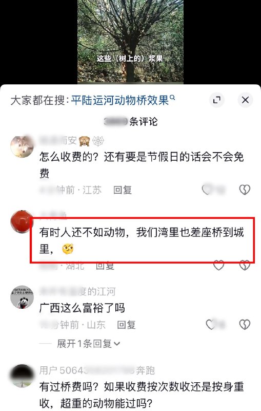 作家崔成浩