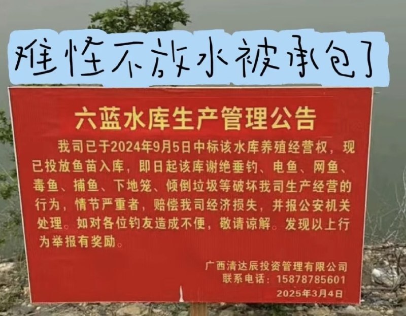 作家崔成浩