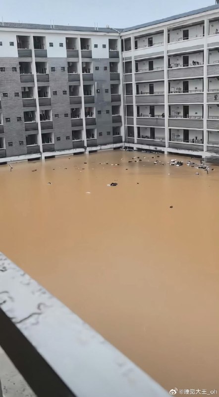 魔都老猿