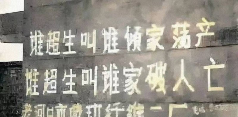 彭佩云曾说过，如果不对中国人实施计划生育，经济增长的成果就会被多生出来的中国人吃掉