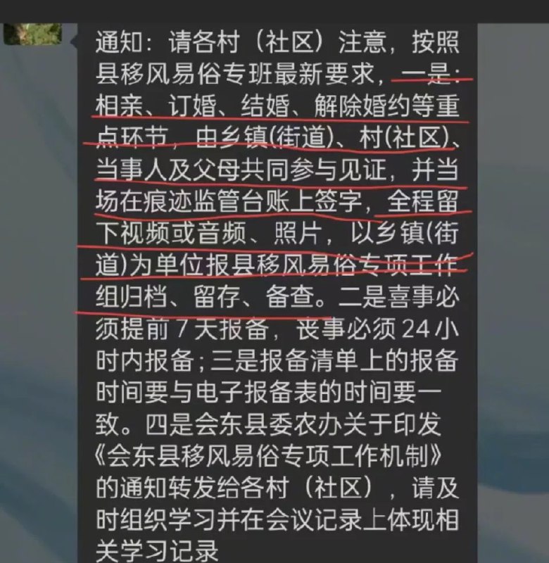 老司机