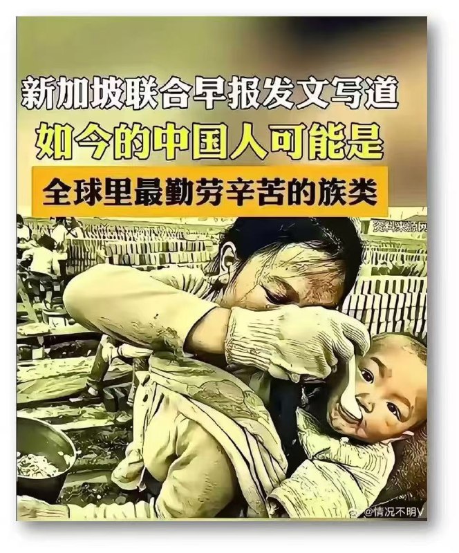 新闻焦点追踪（主编