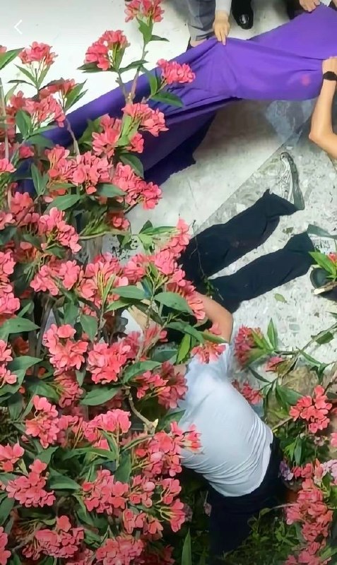 中国悲剧档案