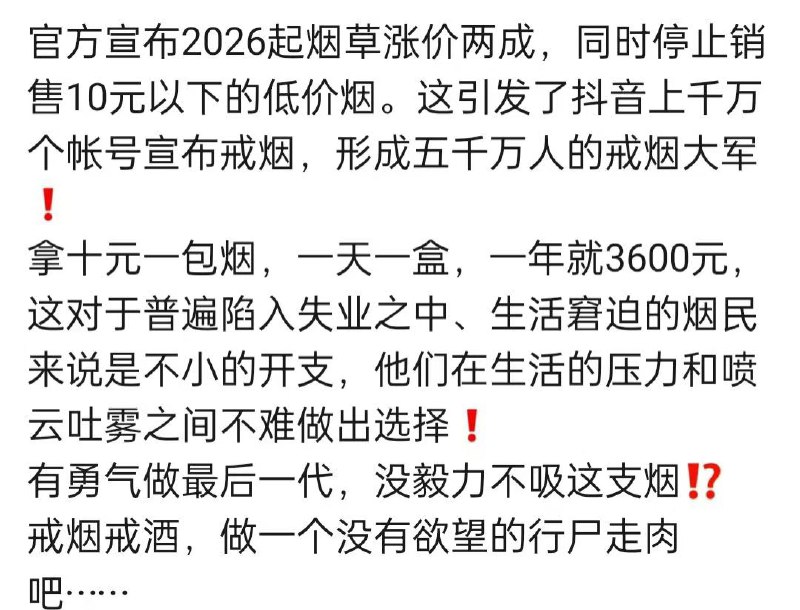 新闻焦点追踪（主编