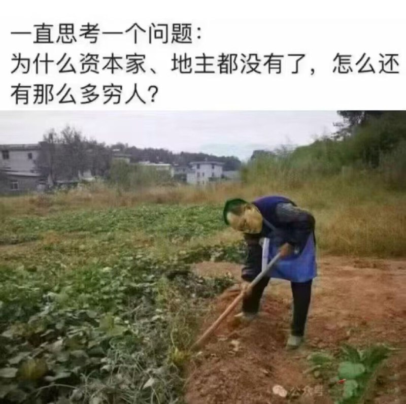 新闻焦点追踪（主编