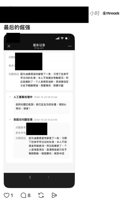 习近平讳称后续