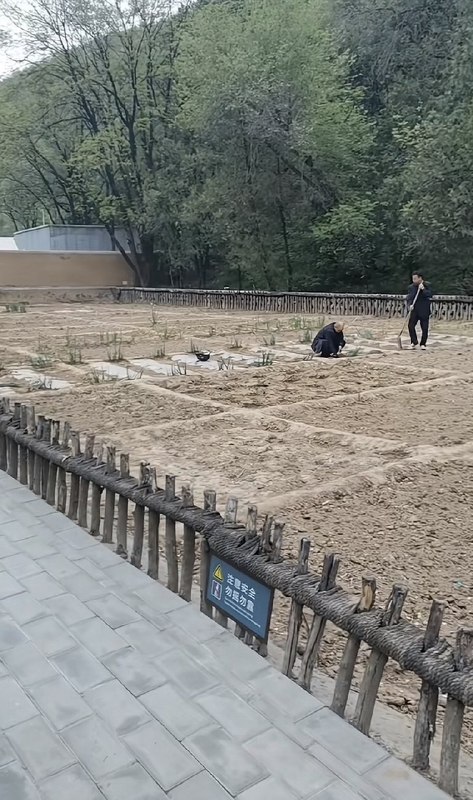 作家崔成浩
