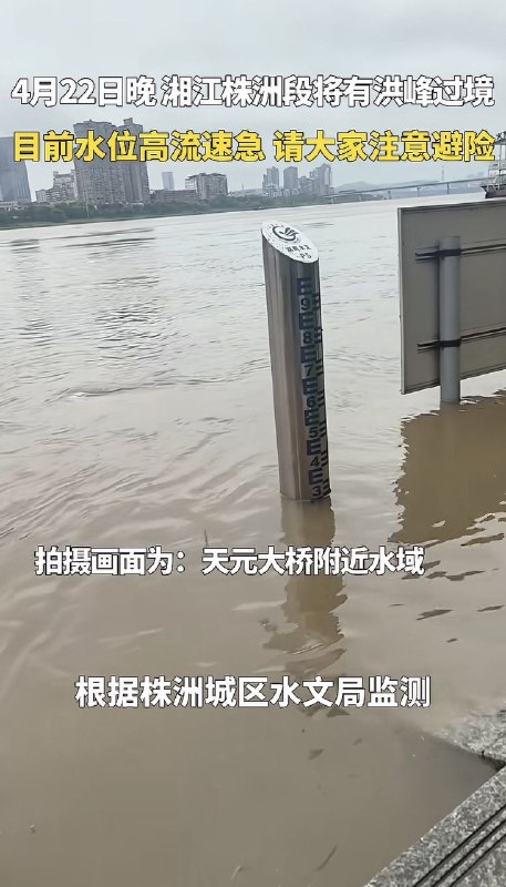 作家崔成浩