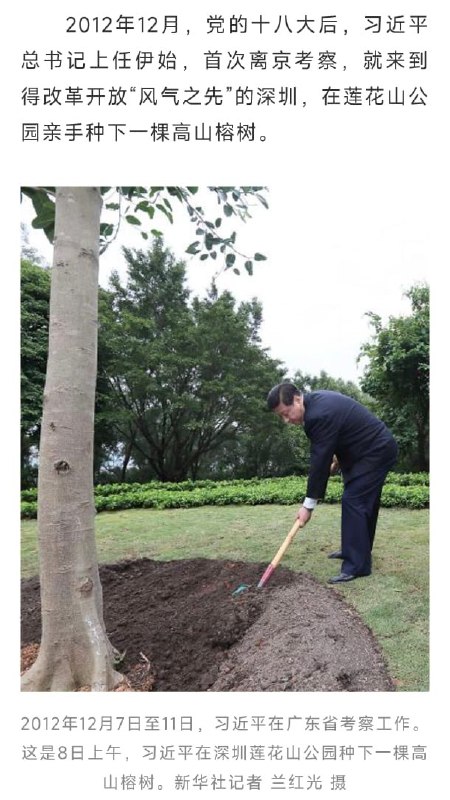王局拍案