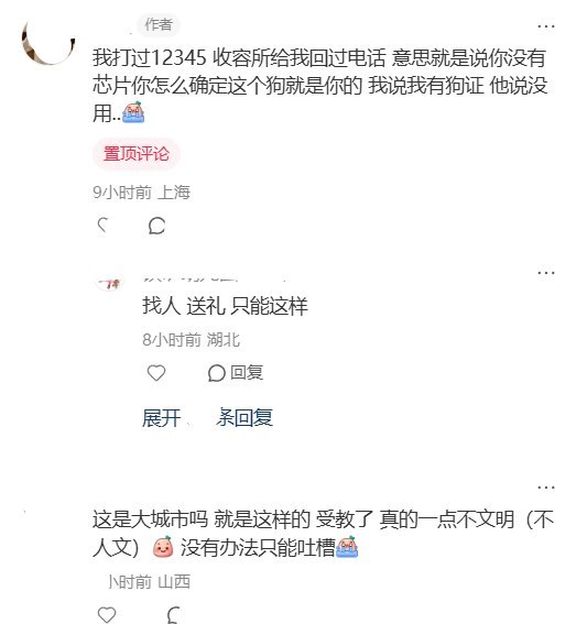 9月1日，上海一名网友发帖称，自己养了8年的家犬在台风期间意外走失，随后被送往收容机构