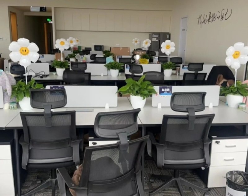 董小姐的日常
