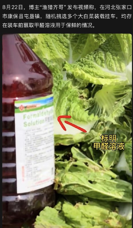 作家崔成浩