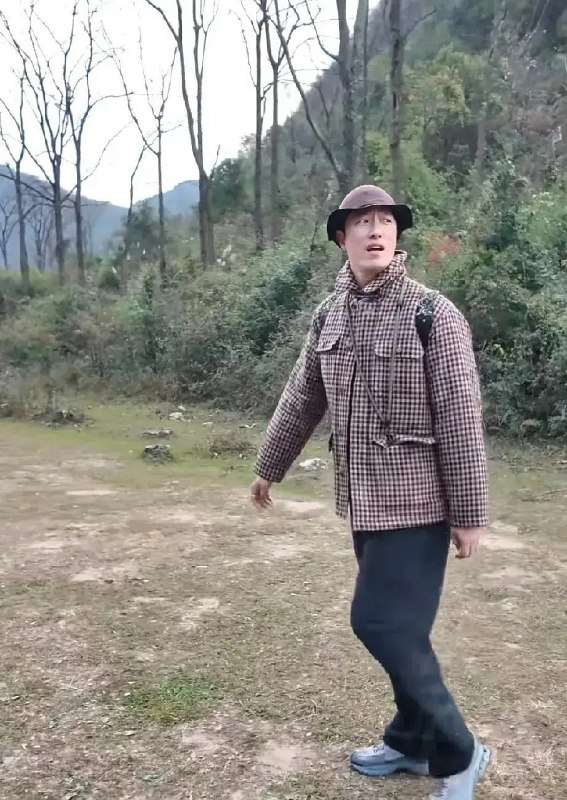 低等生物