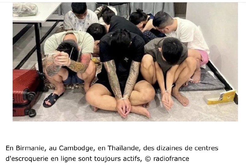 老司机