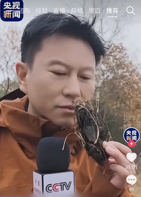 林恩&Lynn
