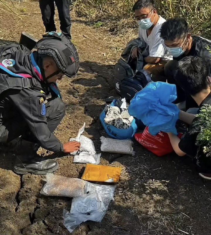 作家崔成浩
