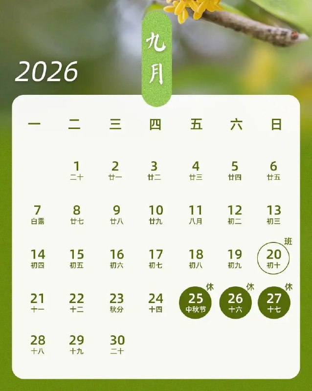 老倪