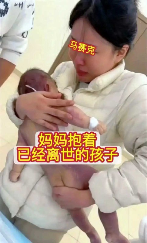 魔都老猿