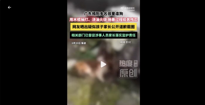 广东少年残忍虐狗引爆舆论 多地串连声援