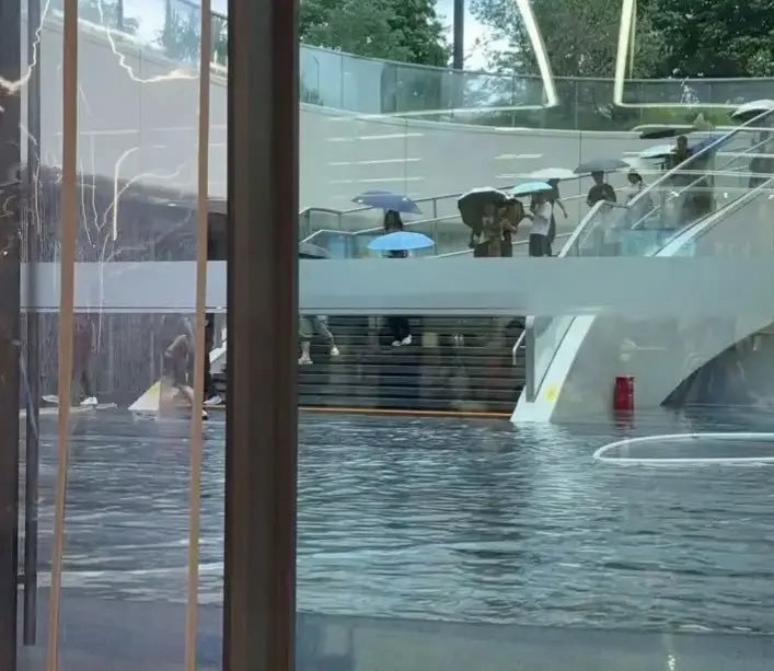 低等生物