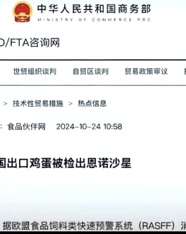 老倪