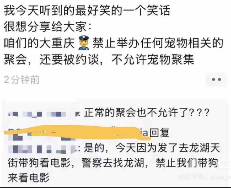 王局拍案