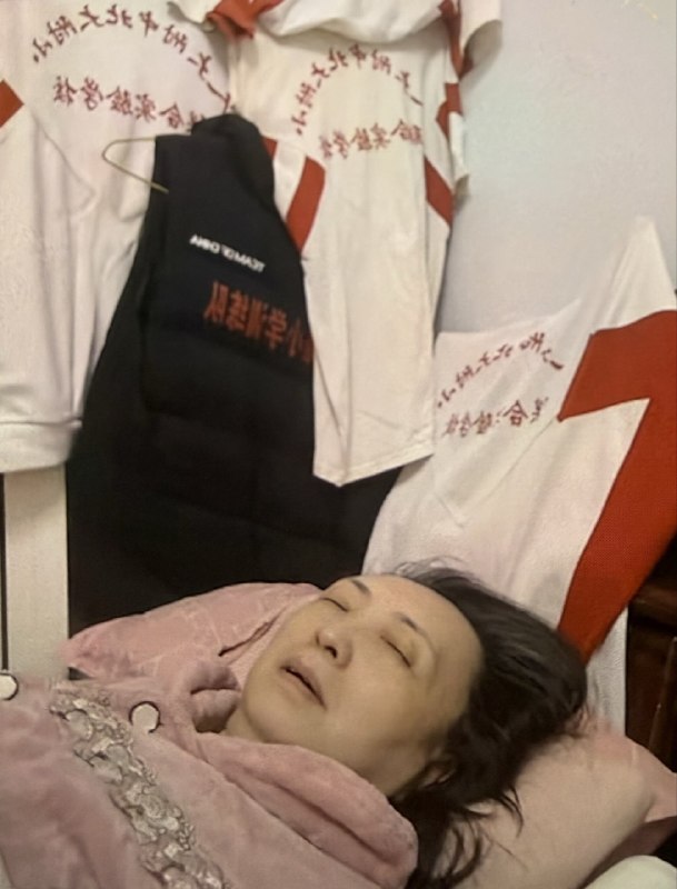 刘所长不是你所长（被逼成反贼的小粉红）