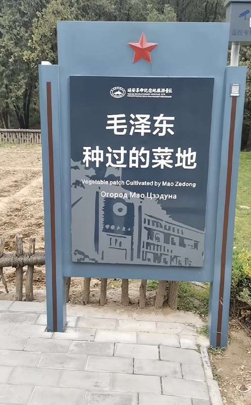 作家崔成浩