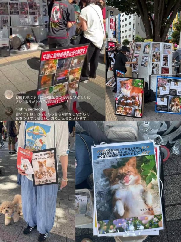 1.【揭阳虐狗事件20多天后，“旺旺风暴”从中国蔓延美日】揭阳虐狗事件发生20多天后，截至7月19日，由此引发的“旺旺风暴”已扩散至中国所有省份和直辖市