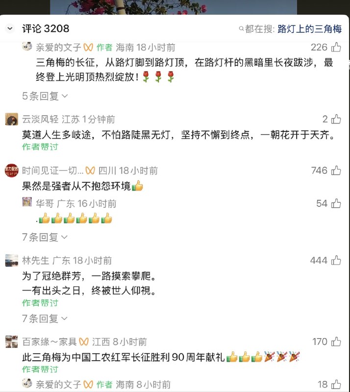 老司机