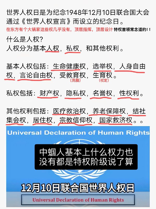 新闻焦点追踪（主编