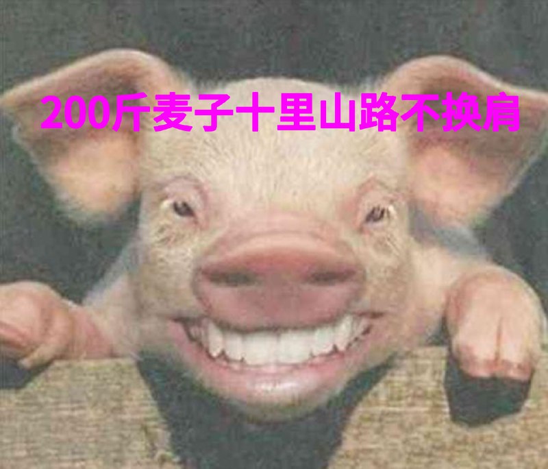 坏球时报
