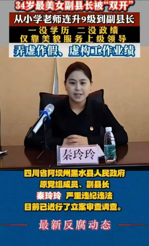 新闻焦点追踪（主编