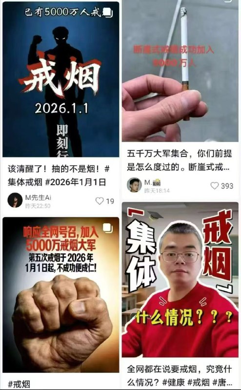 新闻焦点追踪（主编