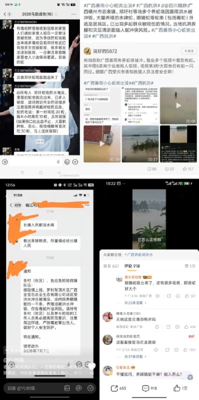 1.【广西横州洪水冲毁养蛇场，十多名村民被蛇咬】广西横州市的私人养殖场及养蛇场被洪水冲毁，大量蛇类逃逸，目前已有蛇窜入居民楼