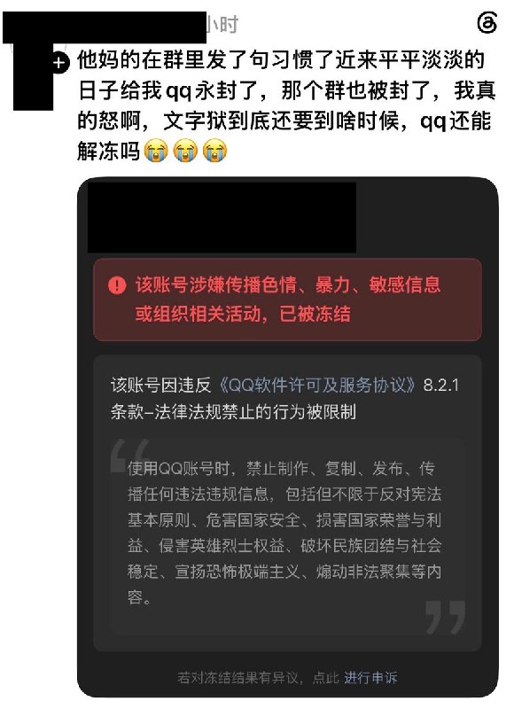 习近平讳称后续
