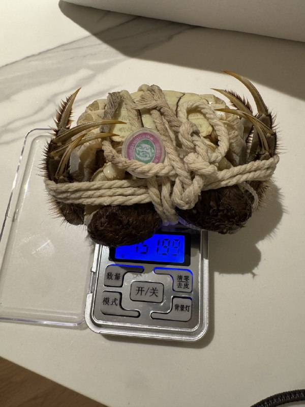 憨厚的麦总