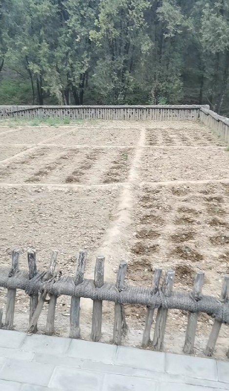 作家崔成浩