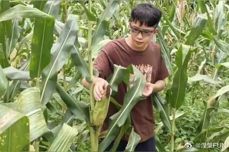 王局拍案