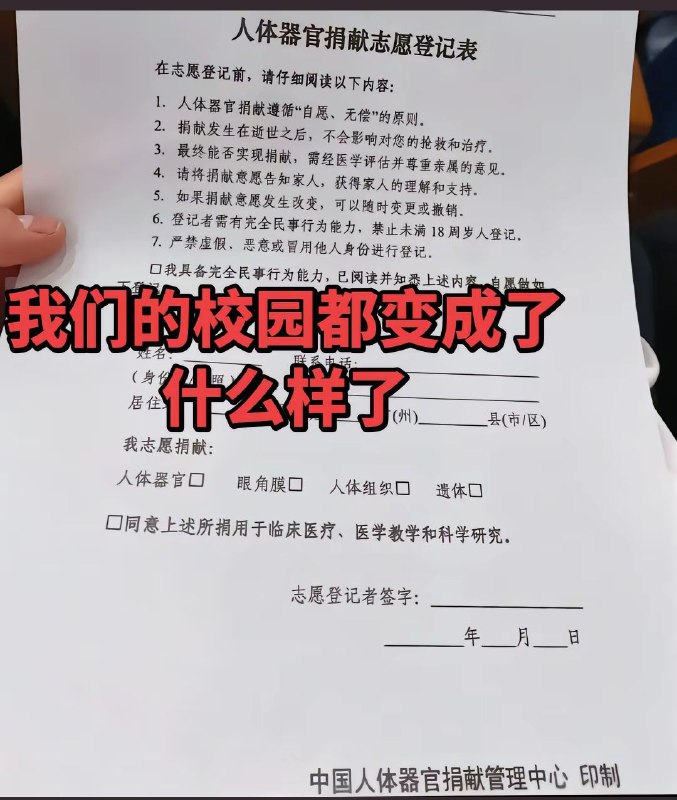 新闻焦点追踪（主编
