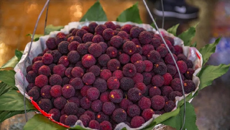 同样的杨梅，合格的出口欧洲，泡药的发往全中国